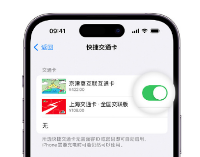 碑林apple维修点分享iPhone上更换Apple Pay快捷交通卡手绘卡面 