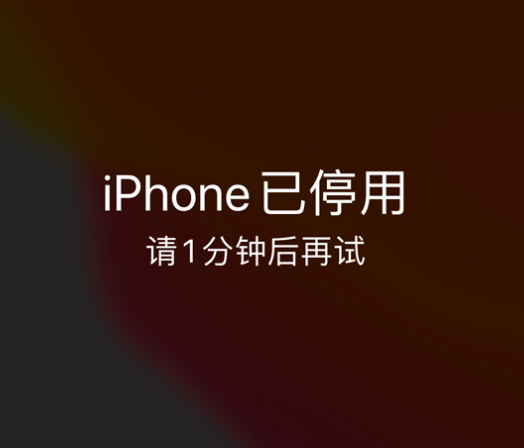 碑林苹果手机维修分享:iPhone 显示“不可用”或“已停用”怎么办？还能保留数据吗？ 