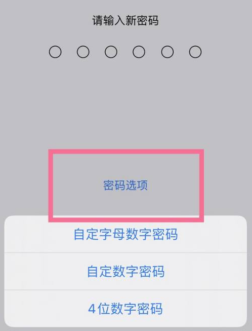 碑林苹果14维修分享iPhone 14plus设置密码的方法 