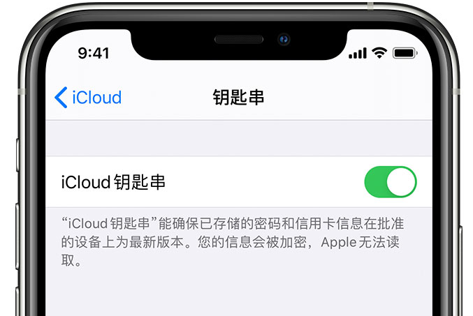 碑林苹果手机维修分享在 iPhone 上开启 iCloud 钥匙串之后会储存哪些信息 